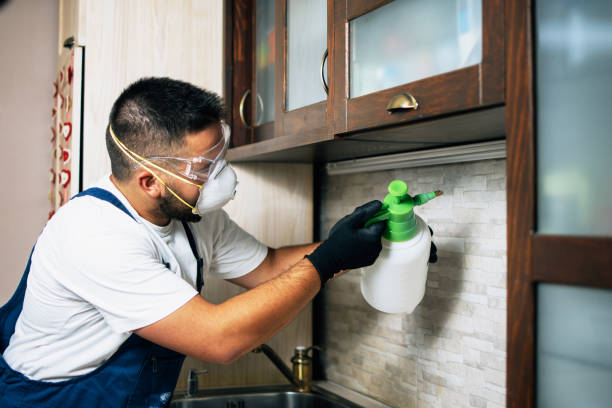 Best Pest Removal Services  in Somers Point, NJ