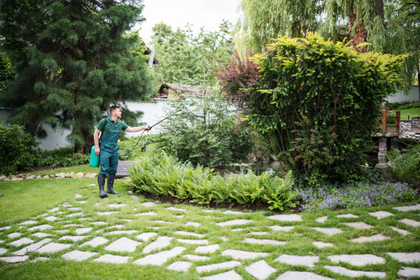 Best Pest Removal Services  in Somers Point, NJ