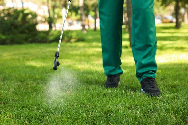 Professional Pest Control in Somers Point, NJ