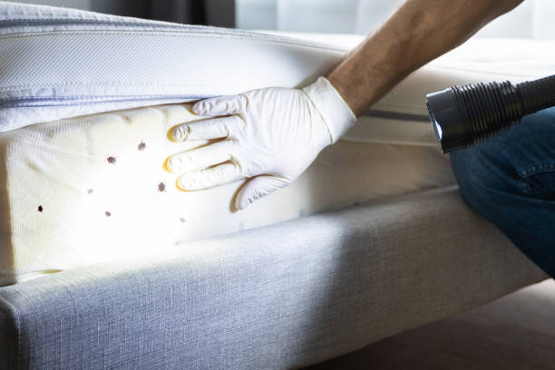 Best Wildlife Control Services  in Somers Point, NJ