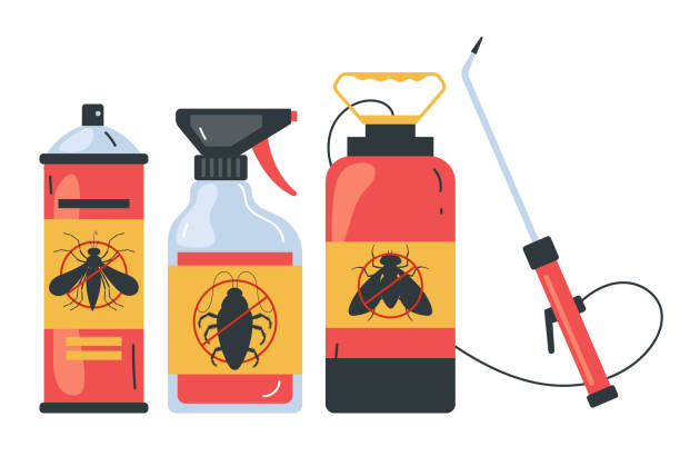 Best Wasp Removal Services  in Somers Point, NJ