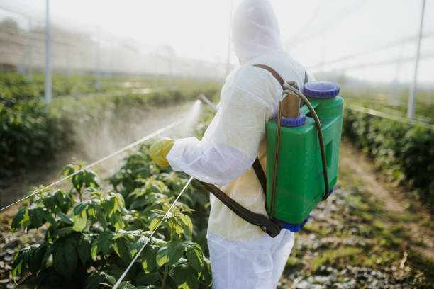 Best Cockroach Control Services  in Somers Point, NJ
